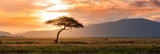 "80% of All Bitcoin Transactions Under $1,000 Happen in Africa"